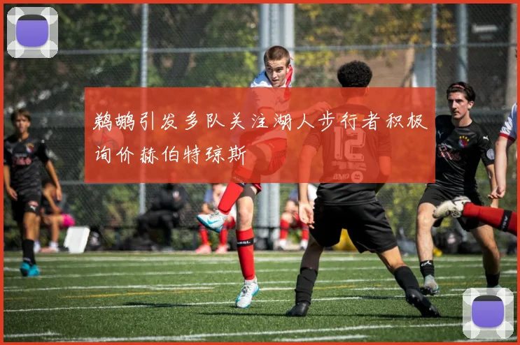 鹈鹕引发多队关注湖人步行者积极询价赫伯特琼斯