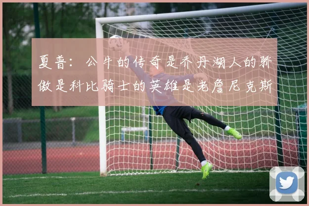 夏普:公牛的传奇是乔丹湖人的骄傲是科比骑士的英雄是老詹尼克斯的希望是布伦森